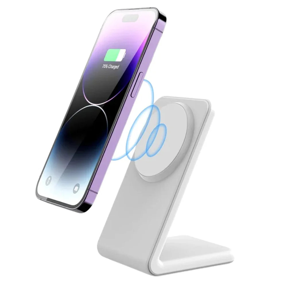 2 in 1 Magnetic Charger
