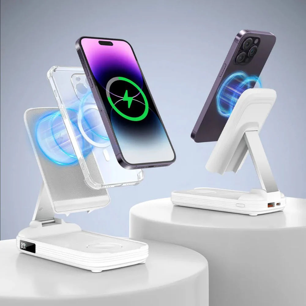 3 in 1 PowerBank