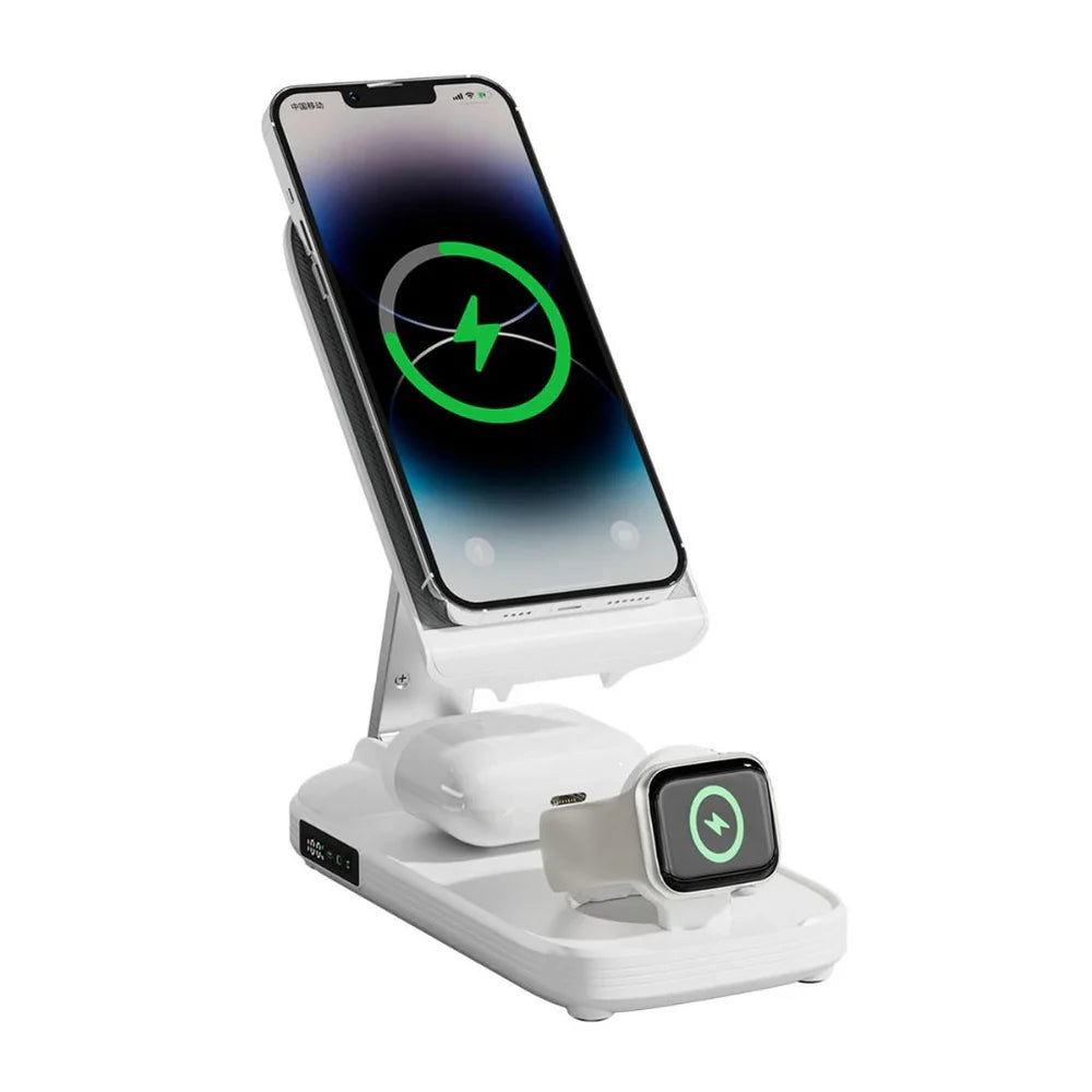 3 in 1 PowerBank